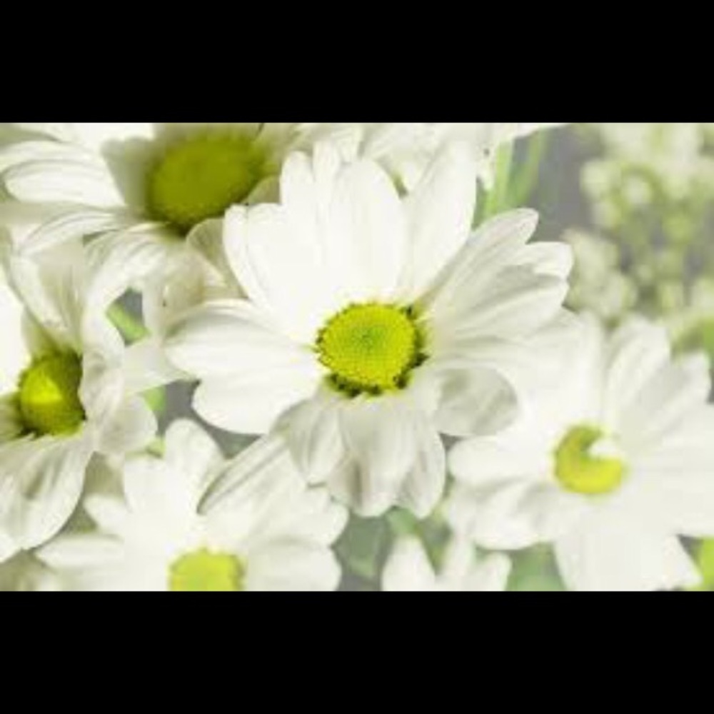 Meet your Posher, Tanae